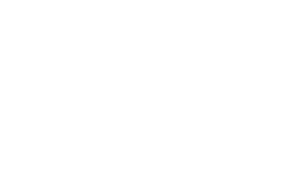 لوگو