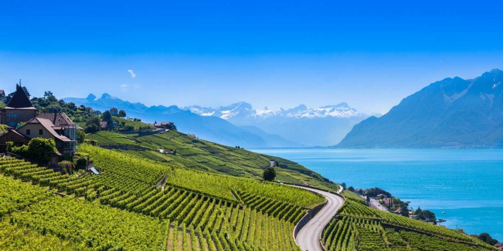 منظره تاکستان‌های تراس‌های انگوری «Lavaux» (یونسکو) در منطقه ژنو در برنامه گشت شهری وپانورامیک ژنو در تور سوئیس رویاس تراول