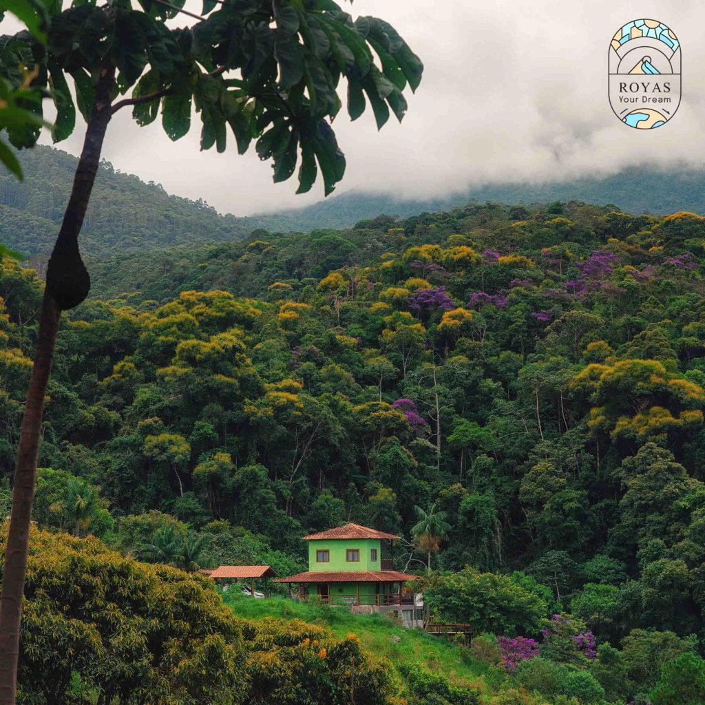 نمایی از طبیعت برزیل اجرای تور برزیل توسط رویاس جنگلهای سرسبز و طبیعت شگفتانگیز کشور برزیل در تور برزیل | رویاس تراول