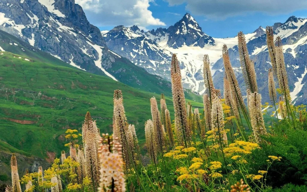 sanghok valley