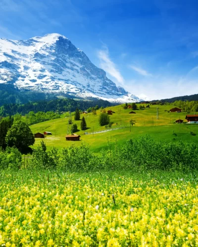 105736-switzerland-5k-4k-wallpaper-mountains-meadows-wildflowers_1_11zon