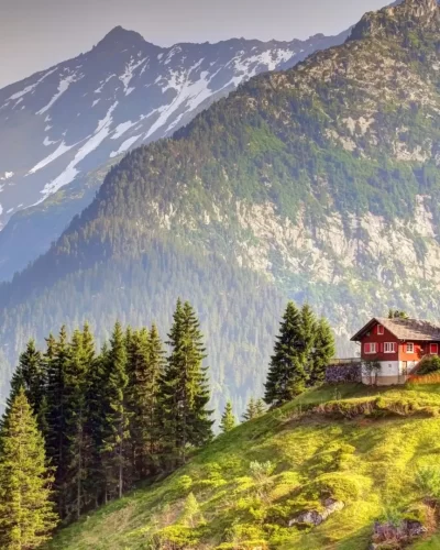 4552051-nature-landscape-trees-forest-house-mountains-hills-field-grass-snowy-peak-switzerland-pine-trees-valley-fence-clouds_17_11zon
