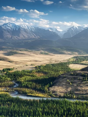 5472087-mountains-forest-mist-clouds-altai-mountains-river_1_11zon