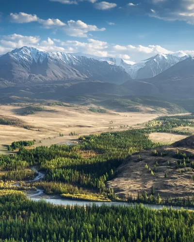 5472087-mountains-forest-mist-clouds-altai-mountains-river_1_11zon