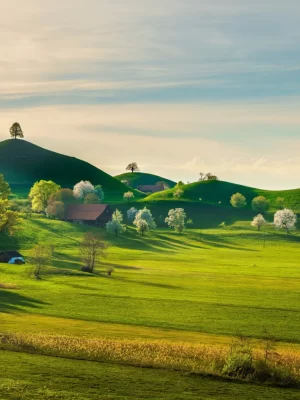 851242-Zug-Switzerland-Fields-Houses-Hill-Trees_7_11zon