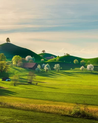 851242-Zug-Switzerland-Fields-Houses-Hill-Trees_7_11zon