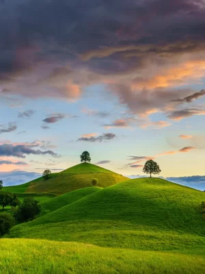 877538-Canton-of-Zug-Switzerland-Hill-Trees-Clouds_9_11zon