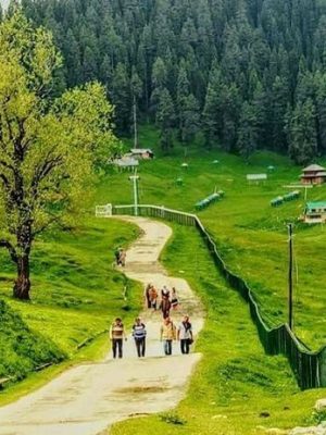 Gulmarg-in-Summer