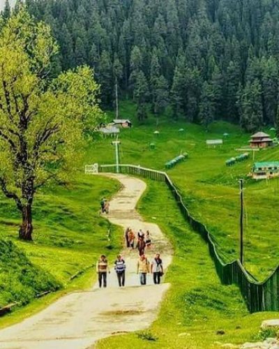 Gulmarg-in-Summer