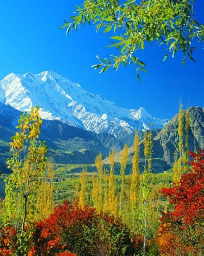 Rakaposhi-Expedition-Full-Board-Package