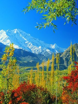 Rakaposhi-Expedition-Full-Board-Package