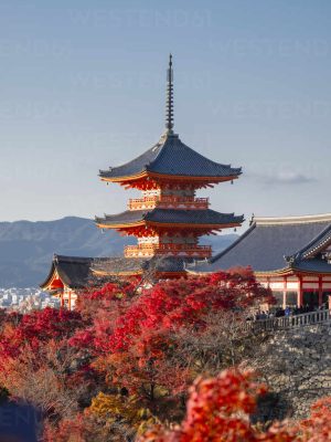 Kiyomizu-dera Buddhist temple and Sanjunoto three Story Pagoda with autumn color, Kyoto, UNESCO World Heritage Site, Honshu, Japan, Asia