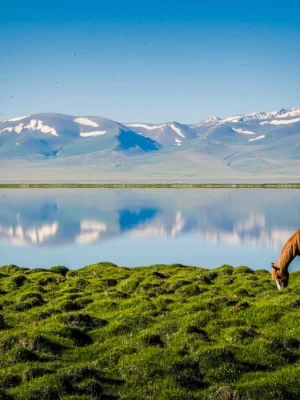 Son_Kul_horse_mirror
