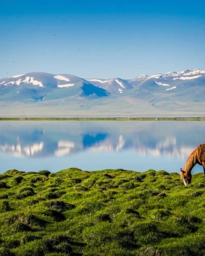 Son_Kul_horse_mirror