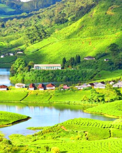 Thekkady-Tourism-Center