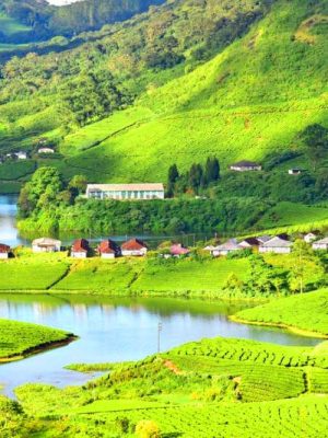 Thekkady-Tourism-Center