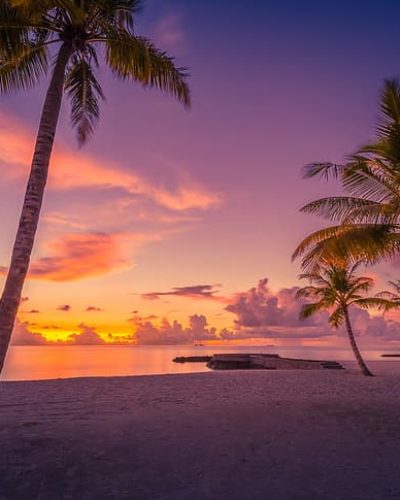beach-sunset-palm-trees-the-ocean-the-maldives-hd-wallpaper-preview