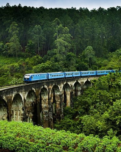desktop-wallpaper-sri-lanka-railway-bridge-train-plantation-sri-lanka