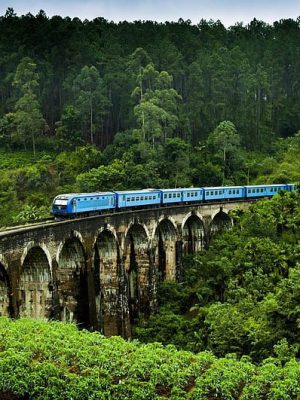 desktop-wallpaper-sri-lanka-railway-bridge-train-plantation-sri-lanka