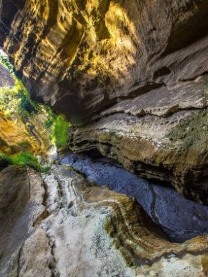 Naivasha Hells Gate National Park canyon full of animals. Kenya Walking or Bike Safari