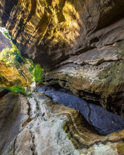 Naivasha Hells Gate National Park canyon full of animals. Kenya Walking or Bike Safari