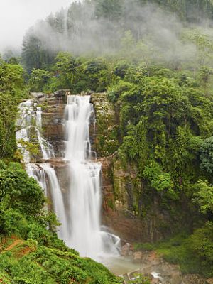 Waterfall in deep forest near Nuwara Eliya in Sri Lanka.