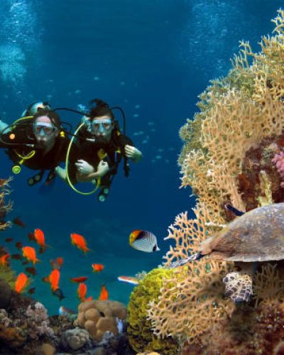 The loving couple dives among corals and fishes in the ocean