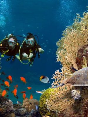 The loving couple dives among corals and fishes in the ocean