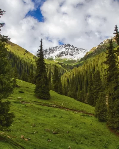 landscape-on-the-background-of-mountains-in-kyrgyzstan