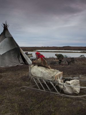 nenets-0454_1800