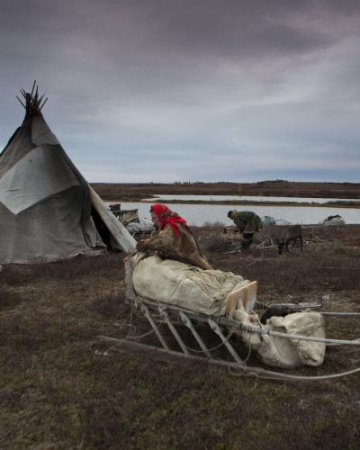 nenets-0454_1800