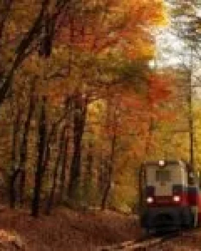لذت سفر با قطار کوهستانی در سوییس